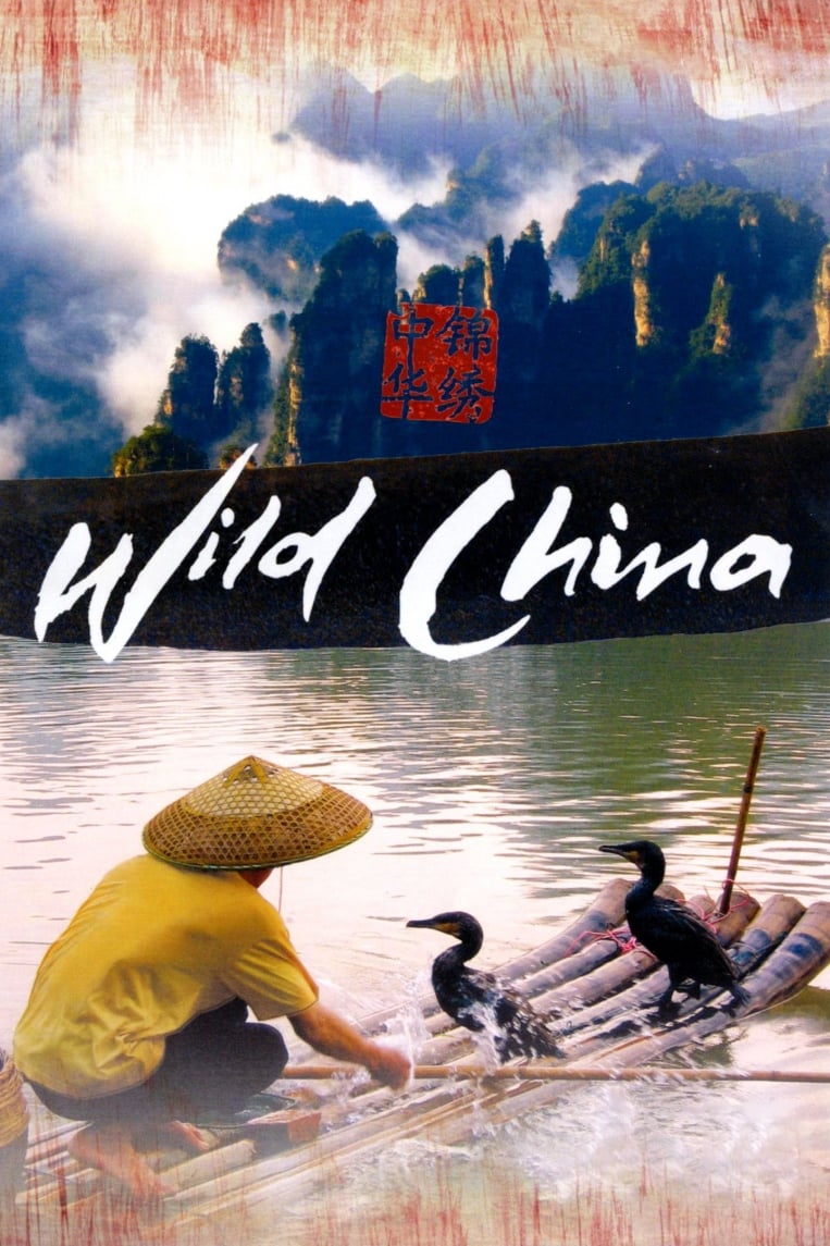 美丽中国