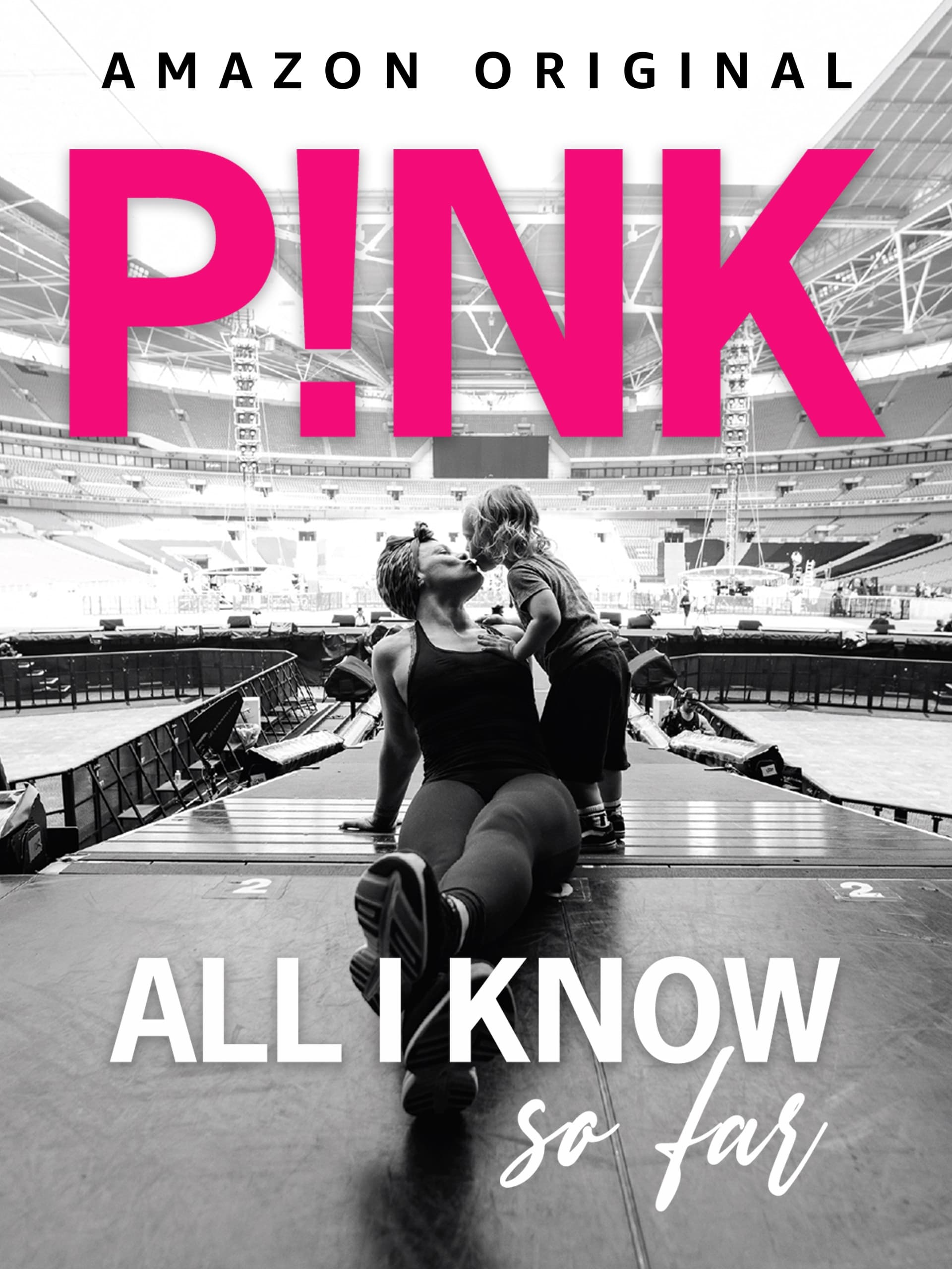P!NK：我所知道的一切