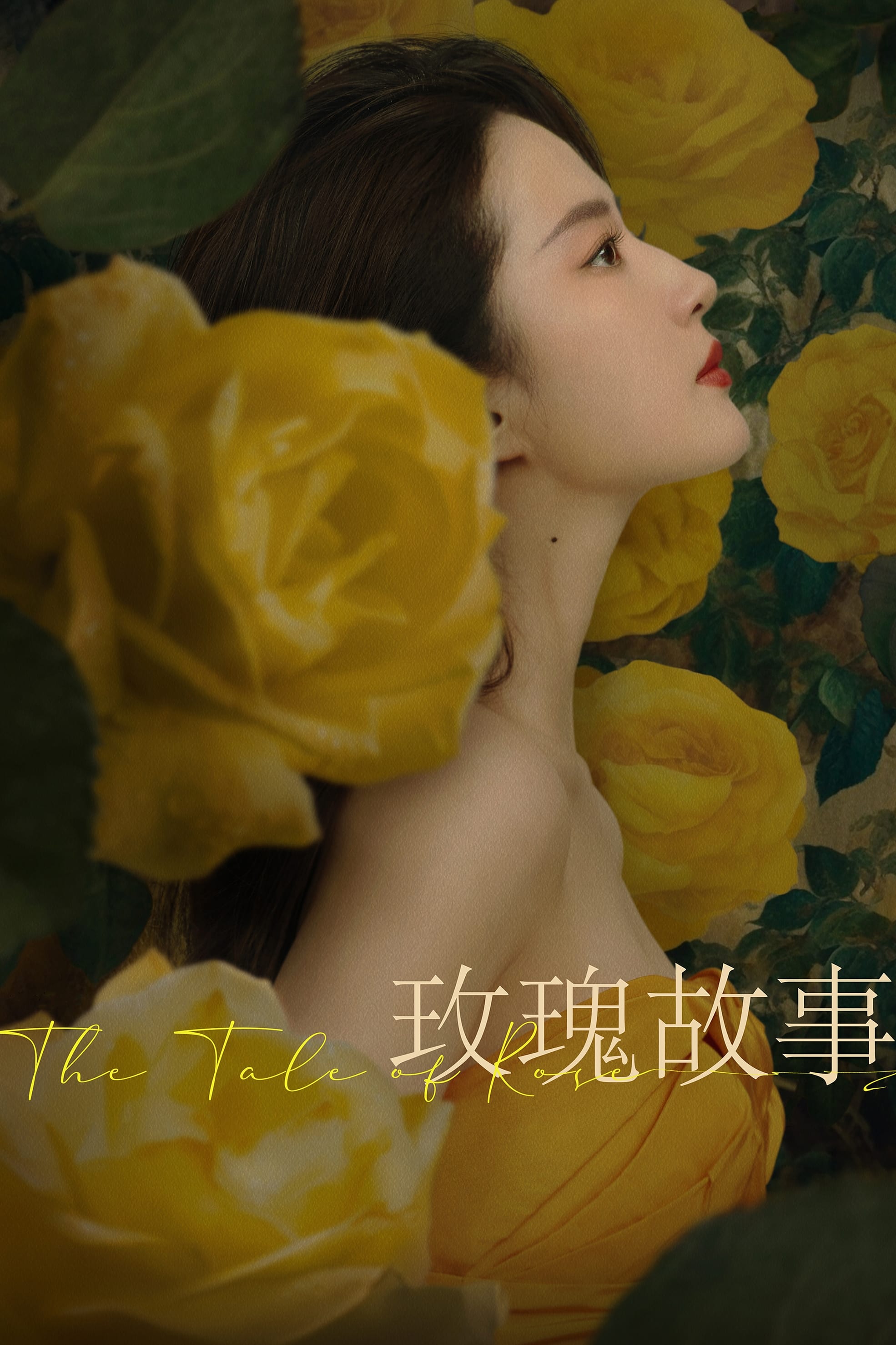 玫瑰的故事