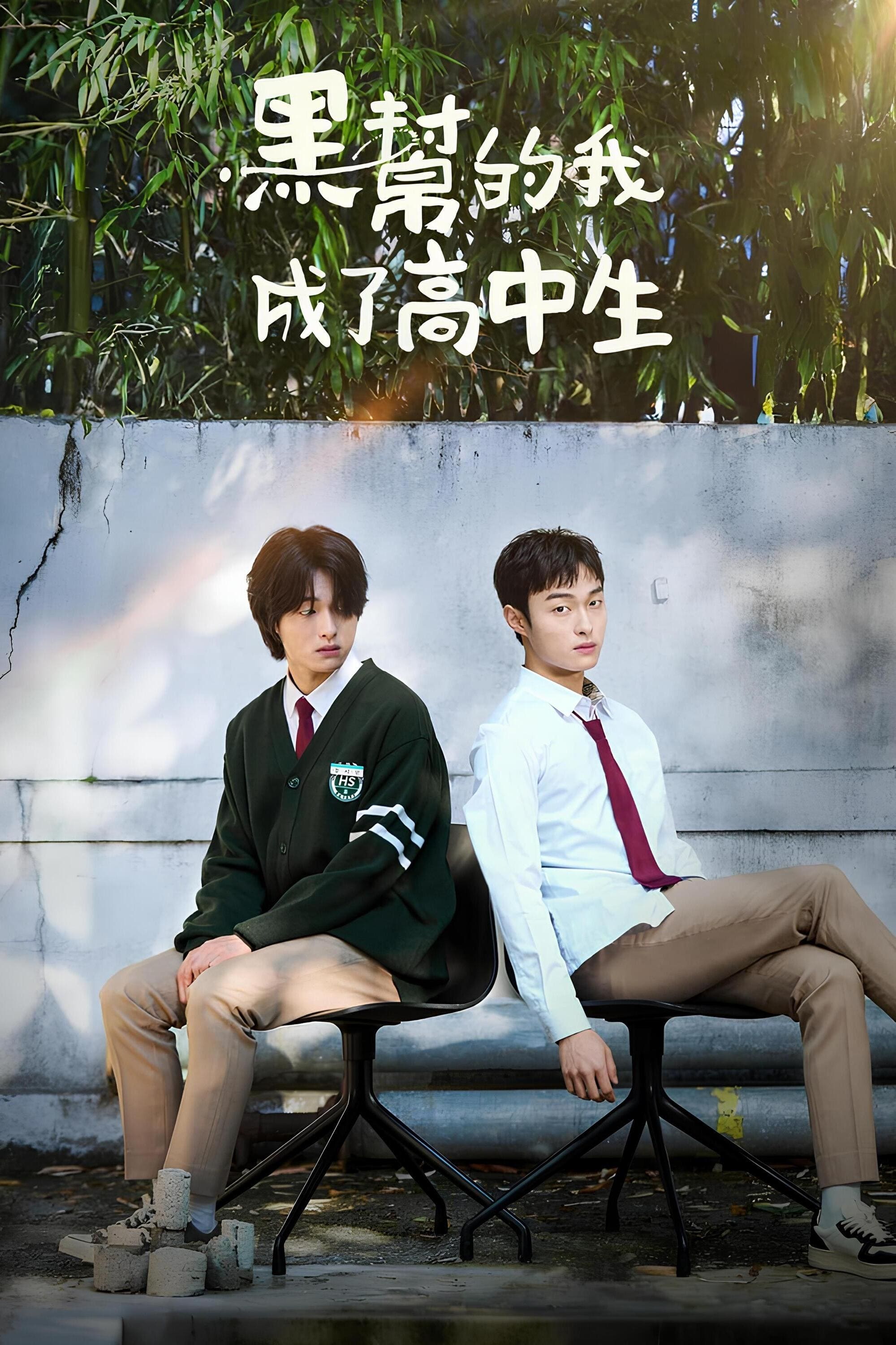 黑帮的我成了高中生