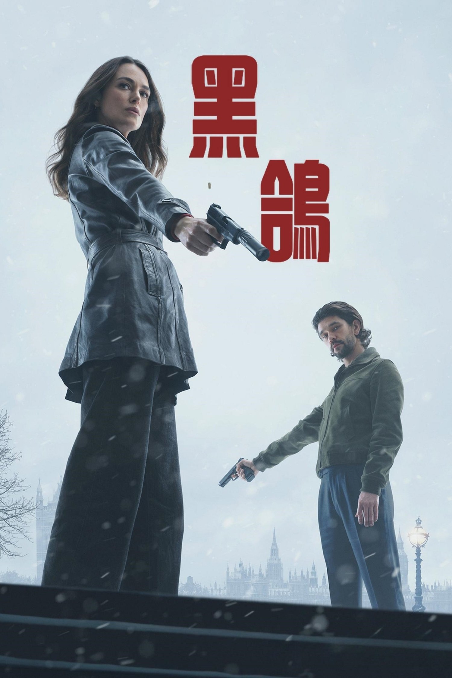 黑鸽