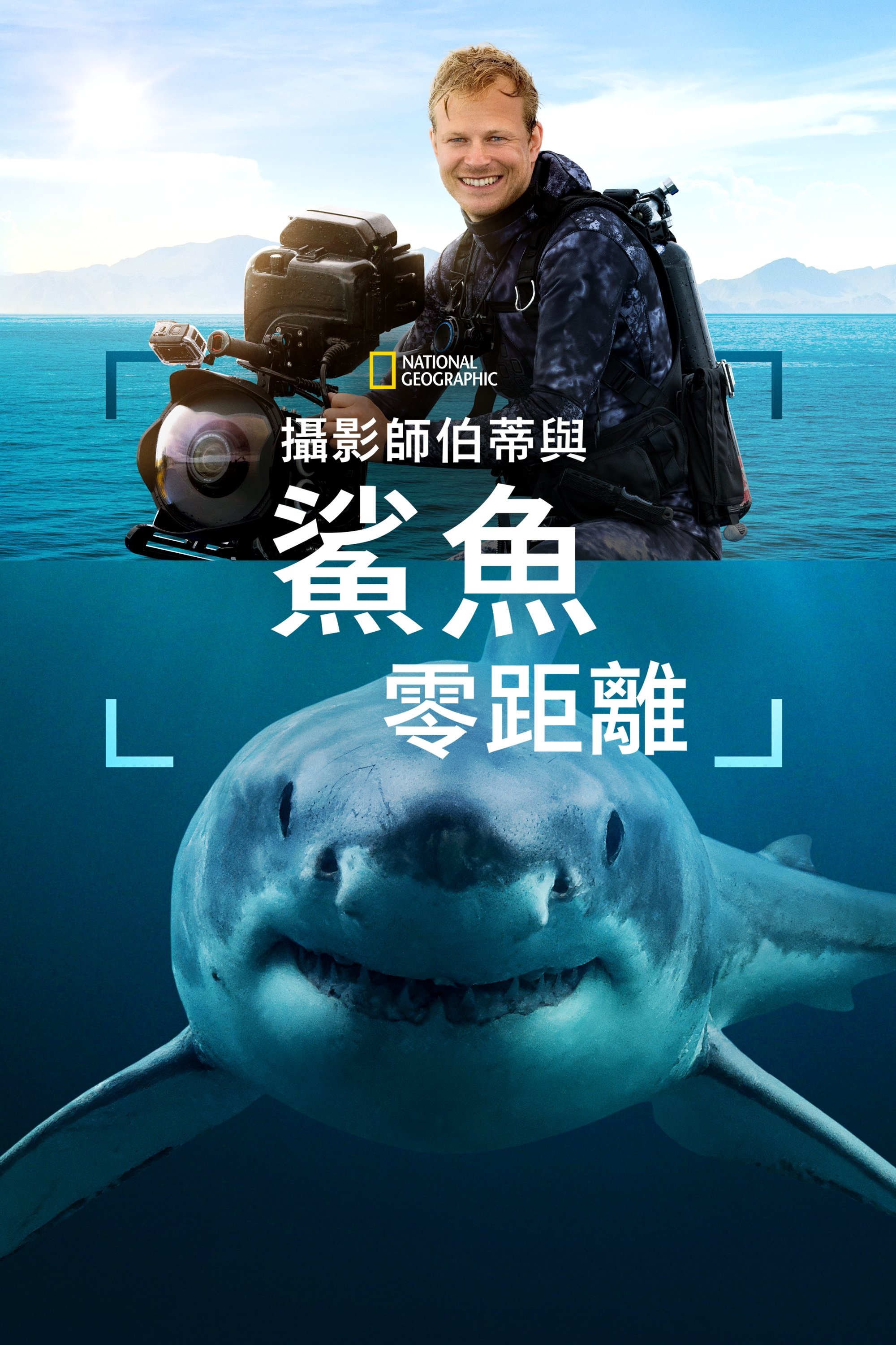 贝尔蒂·格雷戈里与鲨鱼零距离