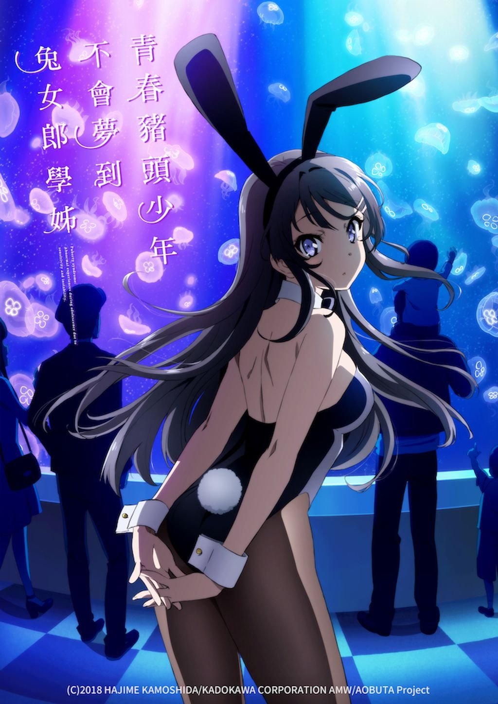 青春猪头少年不会梦到兔女郎学姐