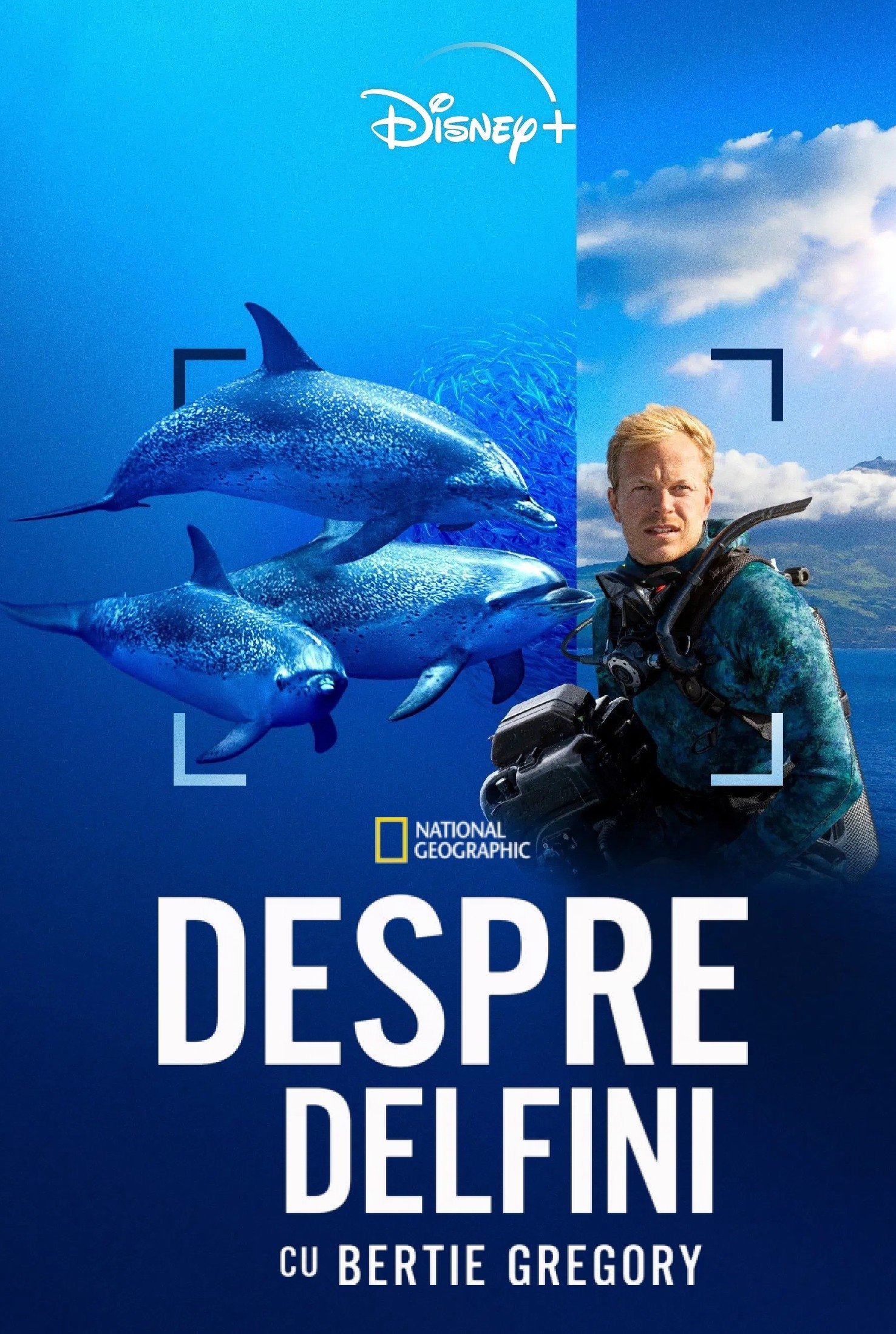 摄影师贝尔蒂与海豚零距离