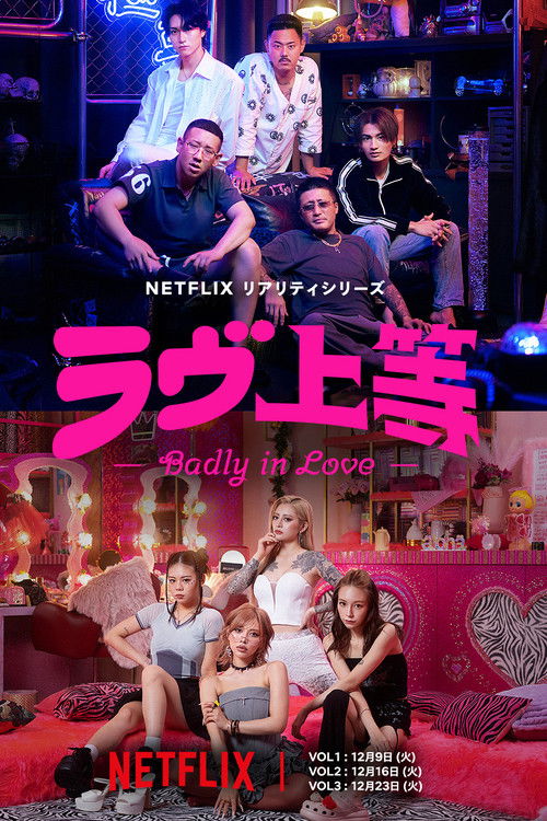 不良一族寻爱记